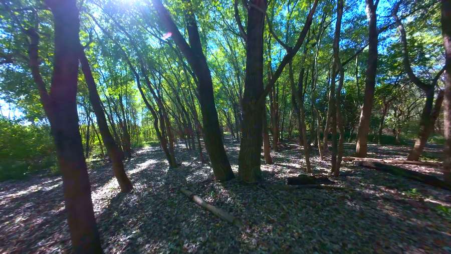 Still 2025-11-17 100017_1.51.11.jpeg